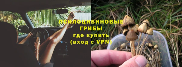 Альфа ПВП Ладушкин