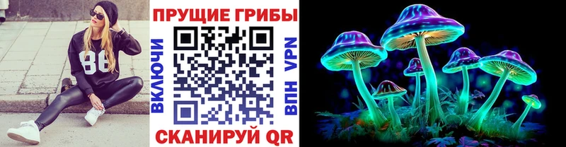 Псилоцибиновые грибы GOLDEN TEACHER Красногорск