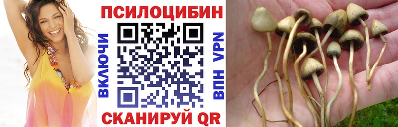 blacksprut онион что такое Красногорск Галлюциногенные грибы прущие грибы