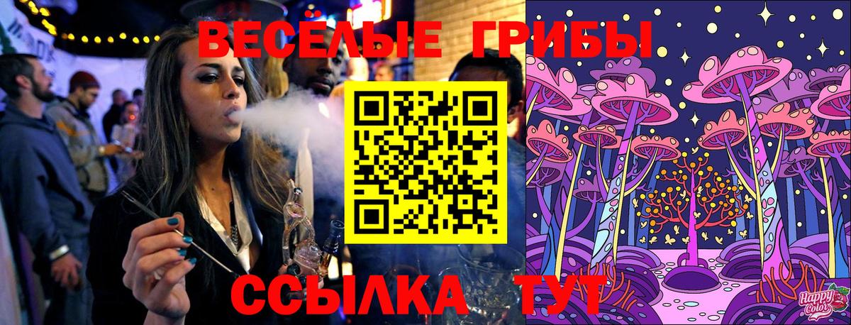 где купить наркоту  Галлюциногенные грибы Psilocybine cubensis  Вход с VPN  Галлюциногенные грибы GOLDEN TEACHER  Красногорск 