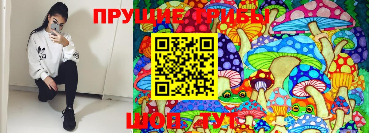 Псилоцибиновые грибы Psilocybine cubensis  Красногорск  Галлюциногенные грибы MAGIC MUSHROOMS 